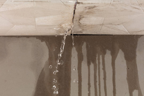 Professional Structural Drying technician working in Morrow, OH